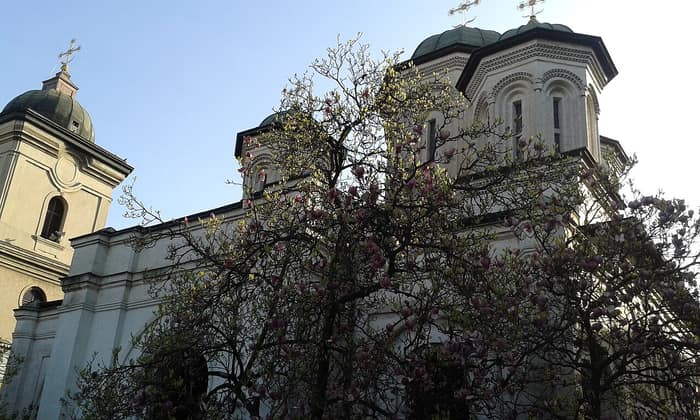 Ensemble du monastère de Radu Vodă, vue 4