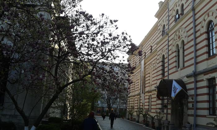 Ensemble du monastère de Radu Vodă, vue 5