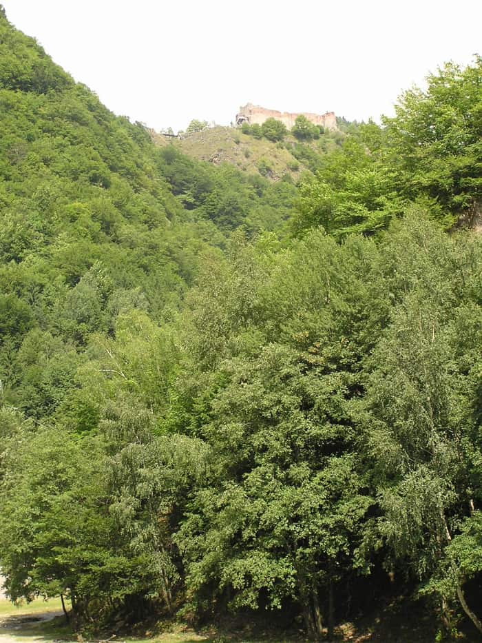 Ruinen der Burg Poenari, zweite Ansicht