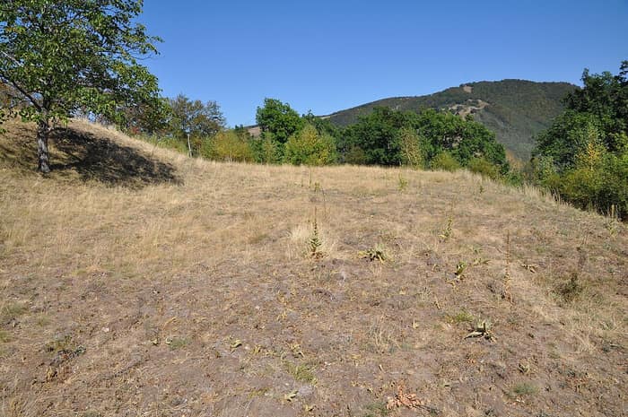 Forteresse dace de Căpâlna, vue 4